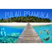 Outbound Pulau Pramuka (4)